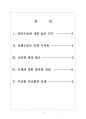 [성형문화,성형중독] 성형수술로 인한 문제점과 해결방안 보고서 6페이지