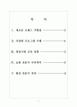 [현대차 기업분석] 현대자동차 경영전략분석-고객만족경영 보고서 2페이지
