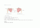  회전근개파열 케이스스터디 (회전근개손상 간호과정) - rotator cuff syndrome case study  4페이지
