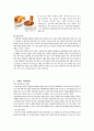  스페인음식문화기행계획서 20페이지