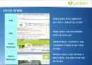 JINAIR 진에어 마케팅믹스 전략분석과 진에어 전략적제휴 전략분석및 진에어 장단점분석과 극복방안(에어부산과 비교) 29페이지