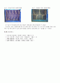 기초회로실험(rc및rl 미적분회로) 11페이지