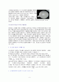 [자연과학] 아스피린의 합성  3페이지