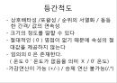 측정과 자료수집.pptx 7페이지