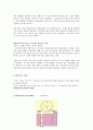 [동양문학의 이해] 일본 - 가부키(카부키)かぶき(歌舞伎(가무기)) 2페이지