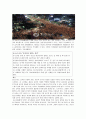 [조직 행동론] 세대차이의 요인과 결과 5페이지