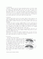 정신보건 사회복지론 - 결혼이민여성의 우울(자살) 3페이지