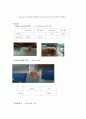  생물학실험 - 생물학적 분자의 검정 2페이지