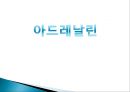  의학 - 아드레날린에 관해서 1페이지
