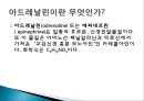  의학 - 아드레날린에 관해서 3페이지