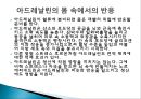  의학 - 아드레날린에 관해서 13페이지