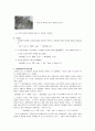  일반 화학 실험 - 양쪽성 금속 수산화물 4페이지