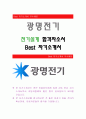 광명전기 [전기설계 합격자] 광명전기 자기소개서,광명전기 자소서,광명전기 채용정보, 광명전기 자기소개서 1페이지