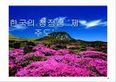 이니스프리(innisfree) 해외시장진출 (중국,인도) 마케팅전략분석과 이니스프리 브랜드분석 및 이니스프리 마케팅 기대효과.파워포인트 자료 14페이지