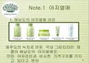 이니스프리(innisfree) 해외시장진출 (중국,인도) 마케팅전략분석과 이니스프리 브랜드분석 및 이니스프리 마케팅 기대효과.파워포인트 자료 19페이지