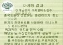 이니스프리(innisfree) 해외시장진출 (중국,인도) 마케팅전략분석과 이니스프리 브랜드분석 및 이니스프리 마케팅 기대효과.파워포인트 자료 23페이지