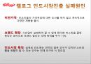 켈로그(Kellogg) 마케팅 실패사례(인도시장) 분석과 마케팅성공사례(한국시장) 분석 및 켈로그 경영분석과 켈로그 앞으로의 방향분석.PPT자료 24페이지
