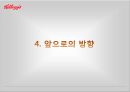 켈로그(Kellogg) 마케팅 실패사례(인도시장) 분석과 마케팅성공사례(한국시장) 분석 및 켈로그 경영분석과 켈로그 앞으로의 방향분석.PPT자료 41페이지