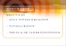  르네상스미술교육 역사 ppt 42페이지