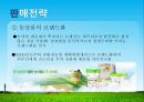 우수경영농가 사례 - 청개구리쌀 마을에 오신 것을 환영합니다 .pptx 15페이지