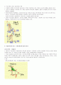  스포츠 경제의 이해 스크립트 32페이지