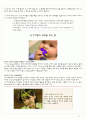 EBS 아기성장보고서 1~5편 총합종합정리. 사진캡쳐, 표 포함. 양식 꾸밈포함 (01.세상을 향한 첫걸음,02.아기는 과학자로 태어난다,03.애착, 행복한 아이를 만드는 조건,04.언어습득의 비밀,05.육아의 키워드, 기질) 3페이지