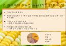 옥수수 현물 및 선물 시장에 대한 분석. 옥수수의 수요와공급,옥수수선물거래 6페이지