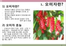 오미자, 웰빙,마케팅,브랜드, 브랜드마케팅,기업,서비스마케팅,글로벌,경영,시장,사례,swot,stp,4p 4페이지