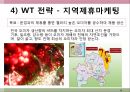 오미자, 웰빙,마케팅,브랜드, 브랜드마케팅,기업,서비스마케팅,글로벌,경영,시장,사례,swot,stp,4p 23페이지