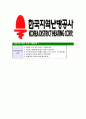 [한국지역난방공사-2014년최신공채합격 자기소개서] 한국지역난방공사자소서,한국지역난방공사자기소개서,지역난방공사자소서,한국지역난방공사자기소개서,한국지역난방공사 10페이지