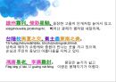 [변려문] 왕발(王勃)의 등왕각서(登王閣序) 분석.pptx 12페이지