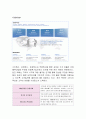 DHL VS 한진택배 마케팅전략 비교분석 및 SWOT, STP분석 4페이지
