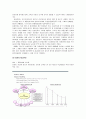  삼성전자 SCM 구축 14페이지