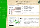 스타벅스(STARBUCKS), 그녀들의 사랑을 “듬뿍듬뿍” 받기 위한 스토리텔링(StoryTelling) 전략서 - 이야기가 숨어있는 STARBUCKS - 스타벅스 20대여성을 타겟으로한 스타벅스 마케팅전략기획서.PPT자료 4페이지