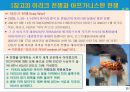 글로벌 사회에서의 주도권 투쟁과 미국패권에 대한 도전.PPT자료 15페이지