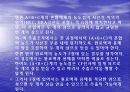  액액추출 15페이지