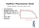2013 세포배양학(기말 자료).pptx 4페이지