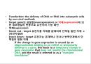 2013 세포배양학(기말 자료).pptx 38페이지