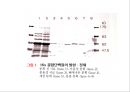 2013 세포배양학(기말 자료).pptx 62페이지