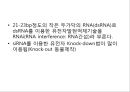 2013 세포배양학(기말 자료).pptx 94페이지