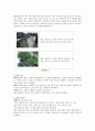 열대성 폭풍 - 21세기 들어와(2008년 1월 1일 이후) 발생한 열대성 폭풍 (태풍, 허리케인, 사이클론 포함)과 그 피해에 대하여 조사해봅시다 4페이지