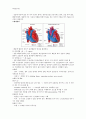아동심질환 - 종류 5페이지