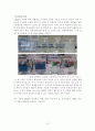 DO값의 변화에 따른 주방세제 종류별 오염수준 탐구 13페이지