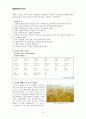 [생물학개론] 보리 4페이지