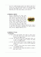 맥도날드 마케팅전략 분석및 맥도날드 기업 경영분석 - 기업소개, 마케팅 사례 32페이지