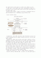 일자리확충을 위한 정부의 일자리 정책 분석, 일자리 확충 해외사례, 나의 의견  23페이지