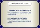 15세기 프랑스 성(性)과 사회, 매춘.pptx 15페이지