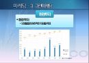 [포스코 POSCO] 기업 경영 마케팅 조사 분석.pptx 13페이지