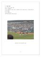  엘지트윈스(LG트윈스) 스포츠마케팅 사례분석및 엘지트윈스(LG트윈스) 문제점분석과 개선방안 제안  3페이지