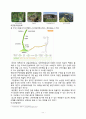 한라산 국립공원 보고서,국립공원의 의의 및 가치,지속적인 발전과 보존 19페이지